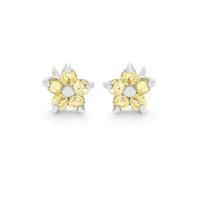 Brinco Prata Flor Delicada