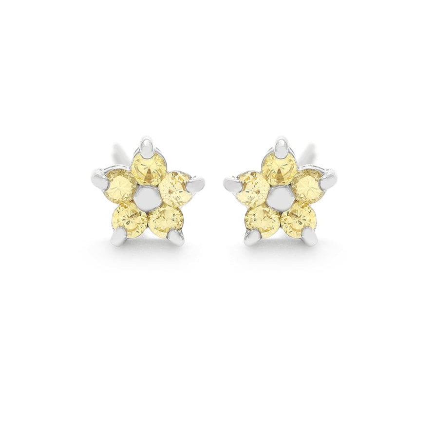 Brinco Prata Flor Delicada