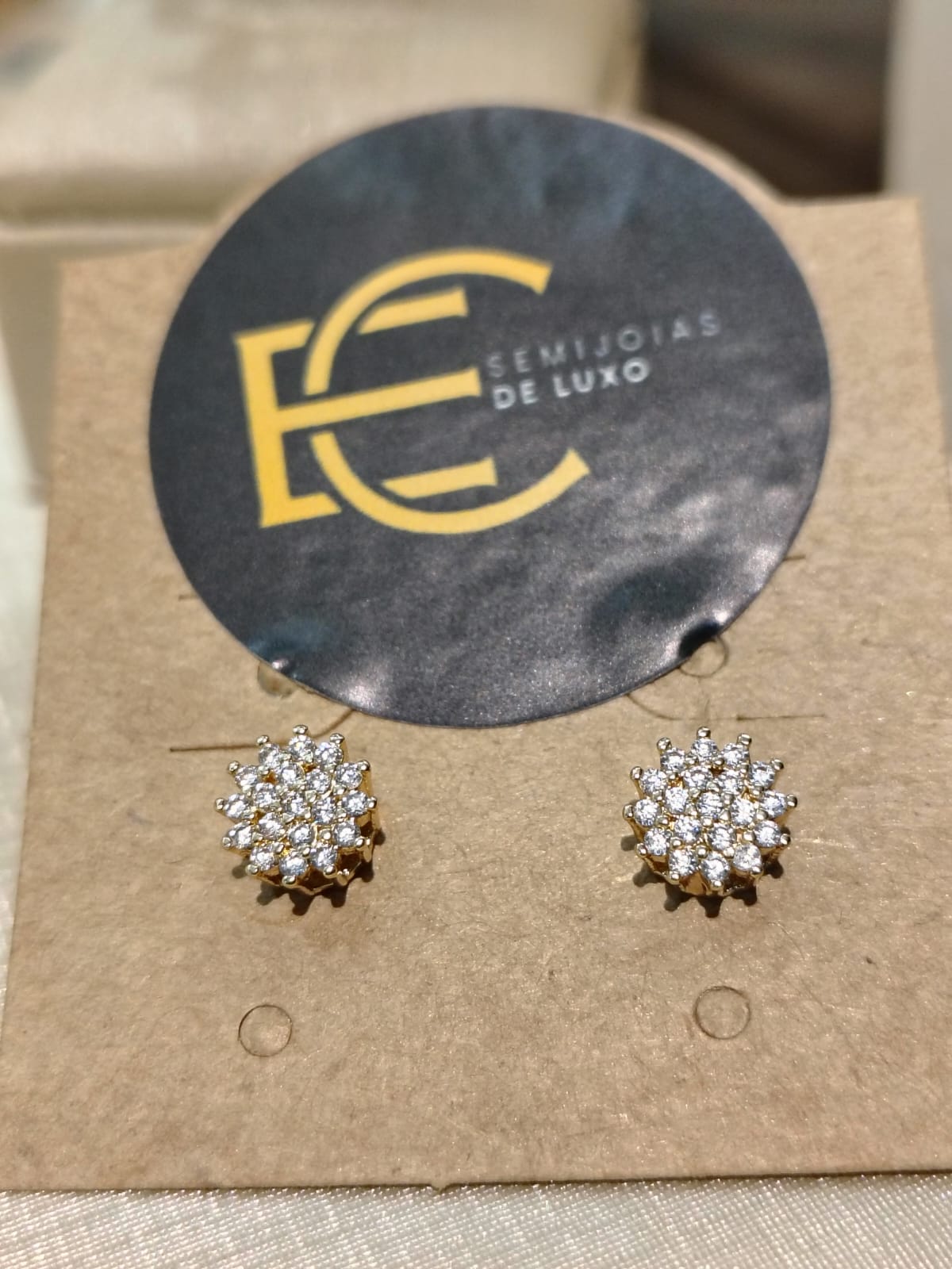 Brinco Chuveiro Cravejado