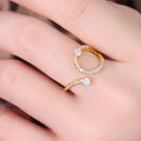 Anel Aberto Cravejado